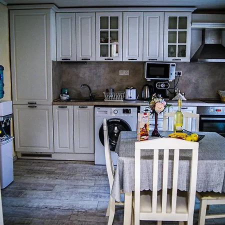 Apartment Niki